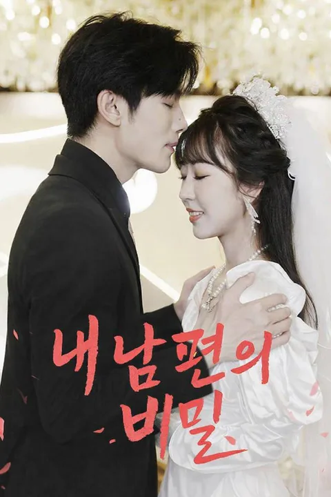 내 남편의 비밀 포스터