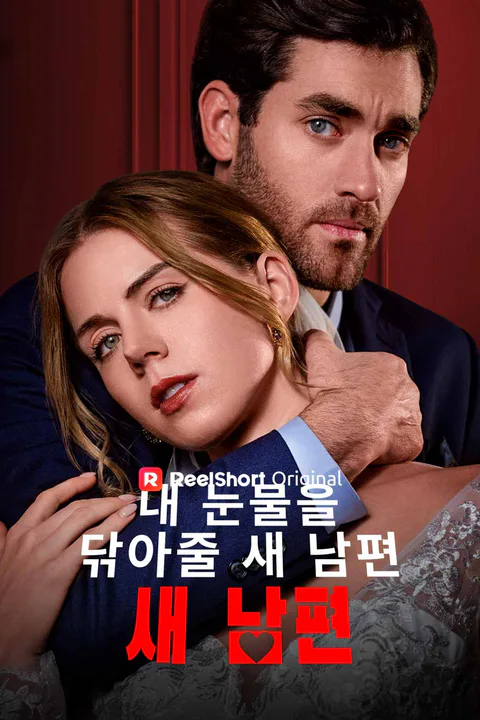 내 눈물을 닦아줄 새 남편 포스터