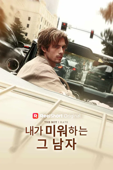 내가 미워하는 그 남자 포스터
