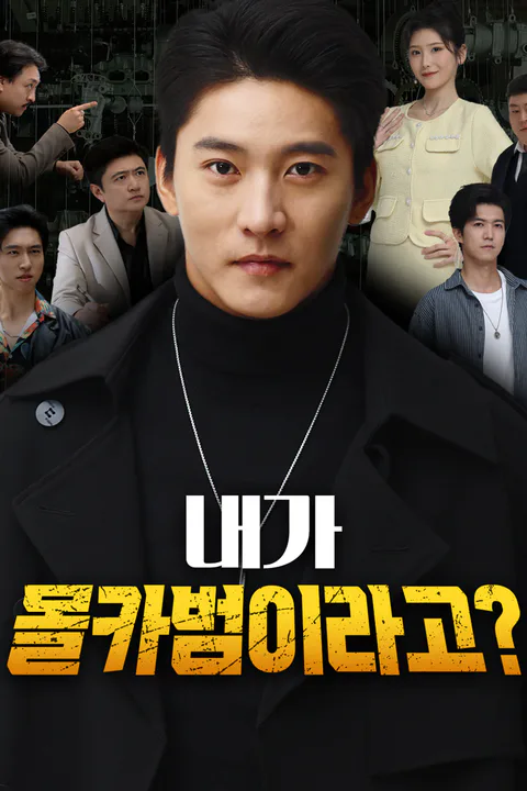 내가 몰카범이라고? 포스터