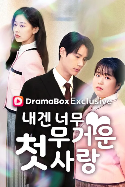 내겐 너무 무거운 첫사랑 포스터