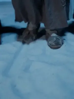 Naip prensin uğur yıldızı afişi