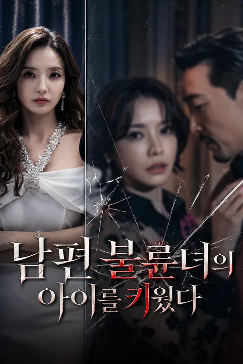 남편 불륜녀의 아이를 키웠다 포스터