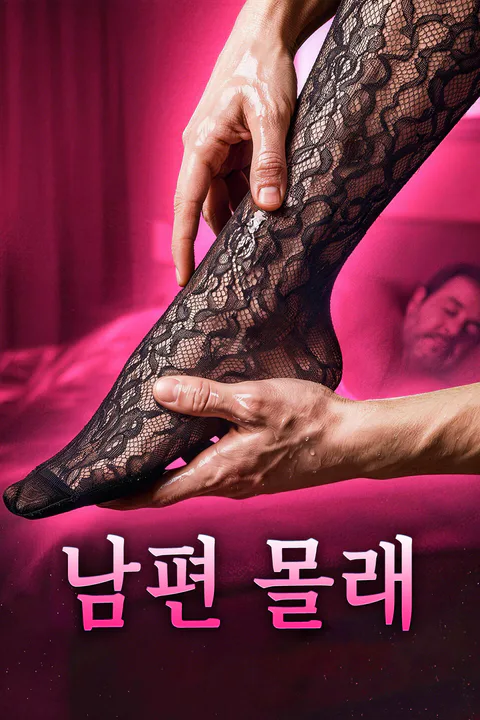 남편 몰래 포스터