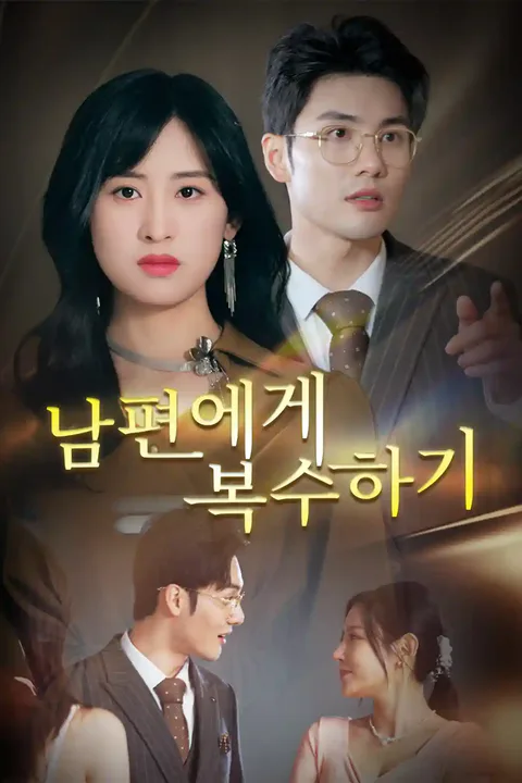 남편에게 복수하기 포스터