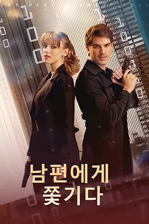 남편에게 쫓기다 포스터