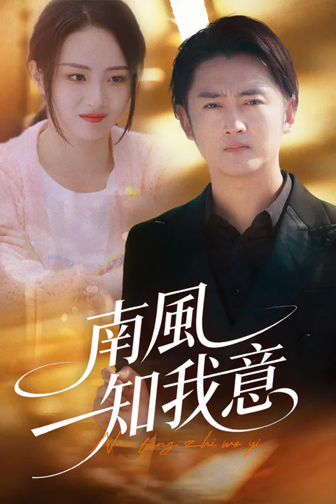 《南風知我意》海報