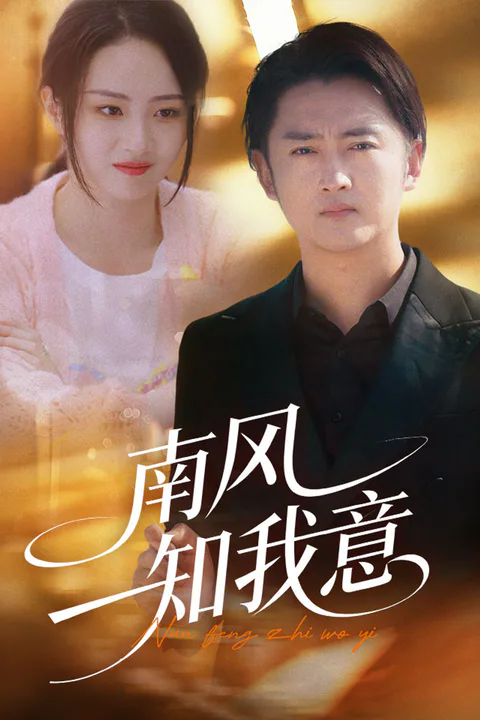 《南风知我意》海报