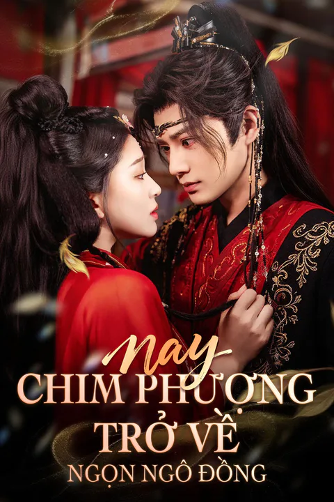 Poster Nay Chim Phượng Trở Về Ngọn Ngô Đồng