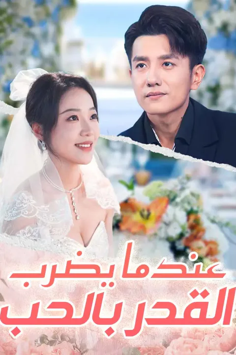 ملصق عندما يضرب القدر بالحب
