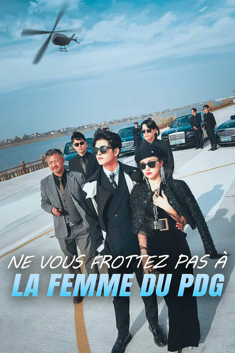 Affiche de Ne vous frottez pas à la femme du PDG