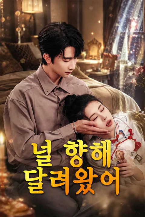 널 향해 달려왔어 포스터