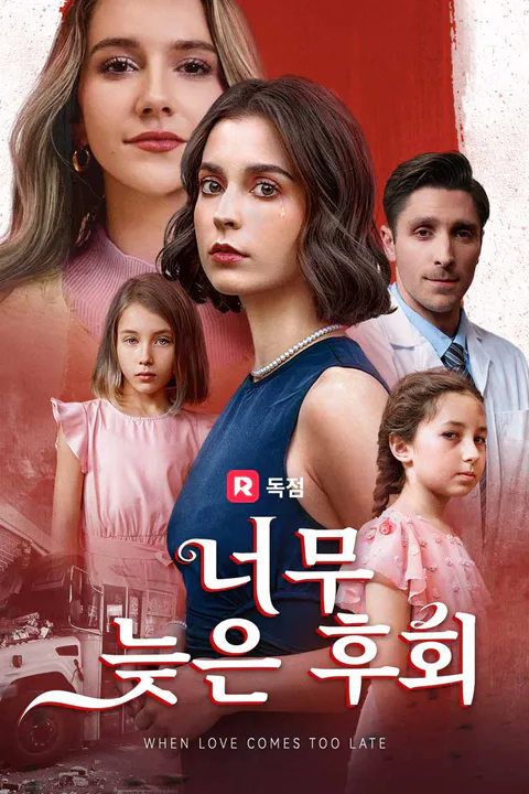 너무 늦은 후회 포스터