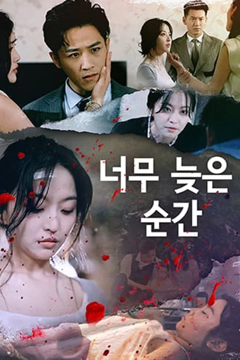 너무 늦은 순간 포스터