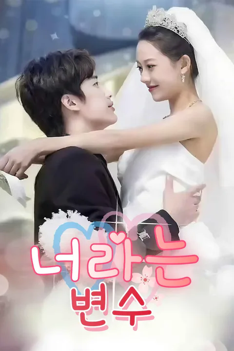 너라는 변수 포스터