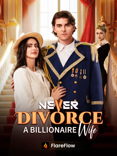 Never Divorce a Billionaire Wife poster