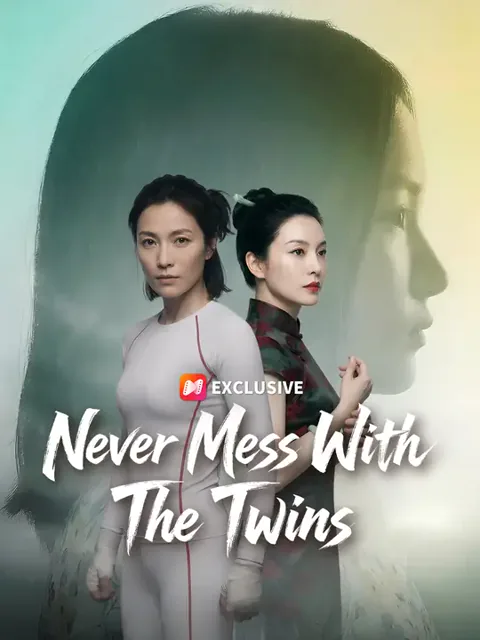 Never Mess With The Twins poster