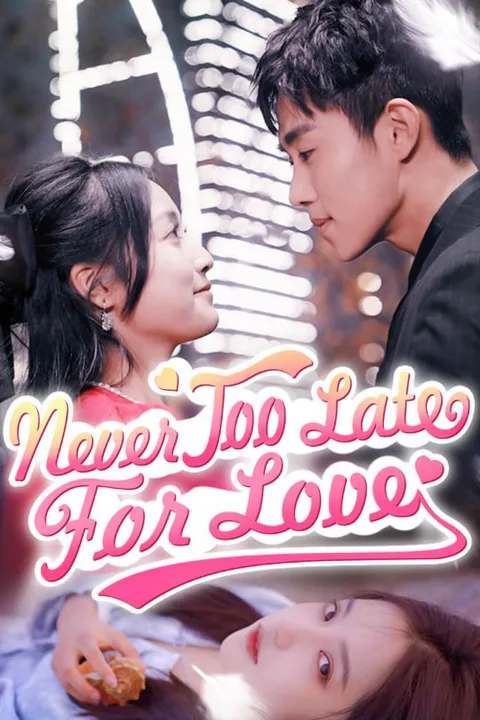 Never Too Late for Love poster