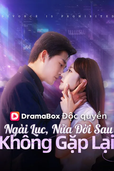 Poster Ngài Lục, Nửa Đời Sau Không Gặp Lại