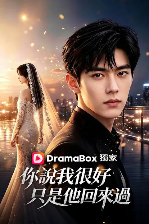 《你說我很好，只是他回來過》海報