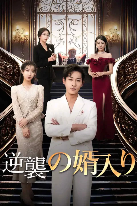 逆襲の婿入りのポスター