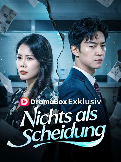Poster von Nichts als Scheidung (Deutsch Synchronisiert)
