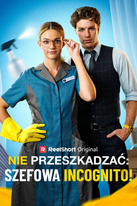 Nie Przeszkadzać: Szefowa Incognito! – plakat