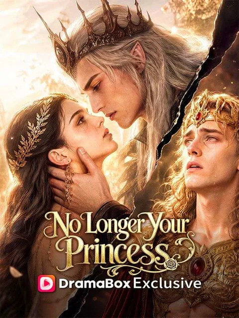 No Longer Your Princess poster