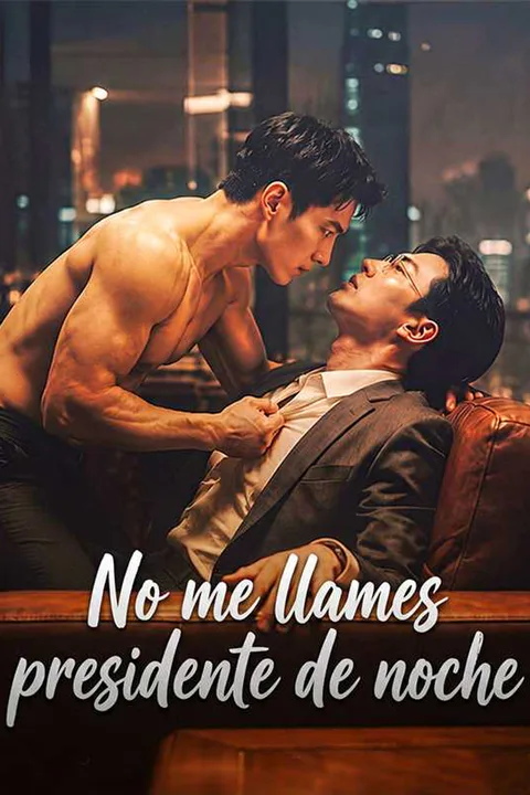 Póster de No me llames presidente de noche