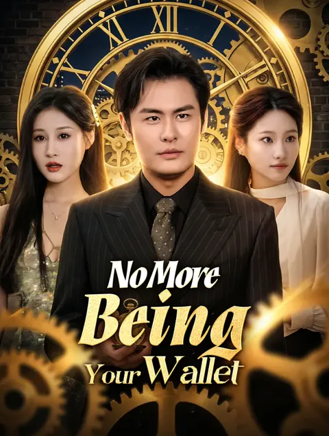 No More Being Your Wallet poster