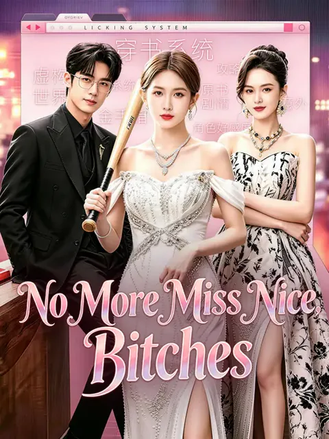 No More Miss Nice, Bitches poster