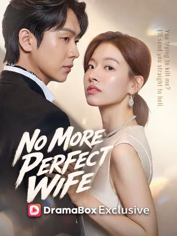No More Perfect Wife poster