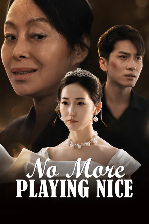 No More Playing Nice poster