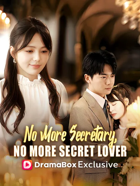 No More Secretary, No More Secret Lover poster