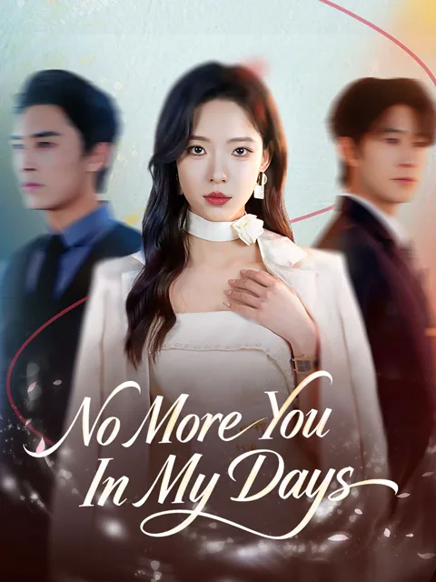 No More You In My Days poster