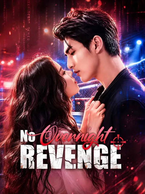 No Overnight Revenge poster