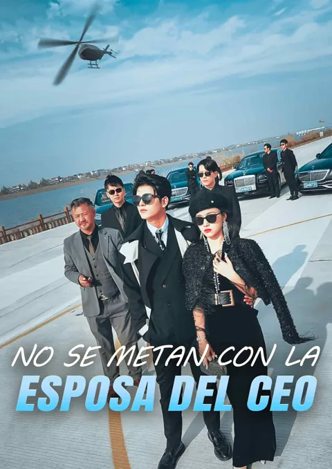 Póster de No se metan con la esposa del CEO
