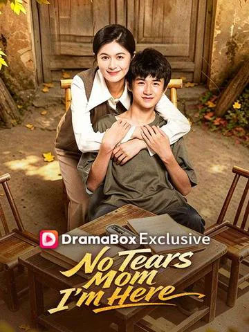 No Tears, Mom, I'm Here poster