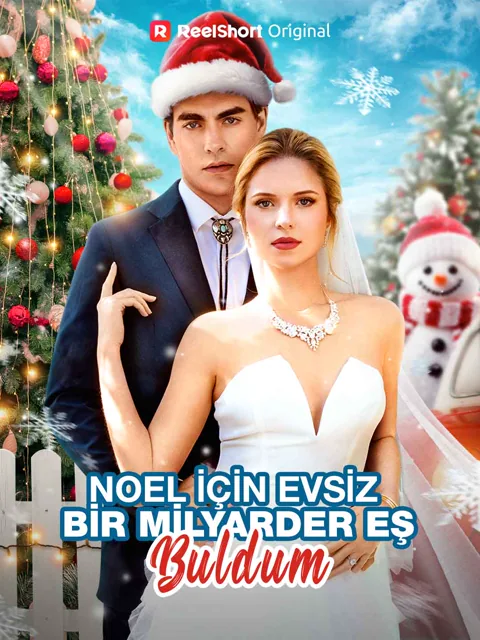 Noel için evsiz bir milyarder eş buldum afişi