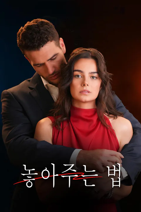 놓아주는 법 포스터