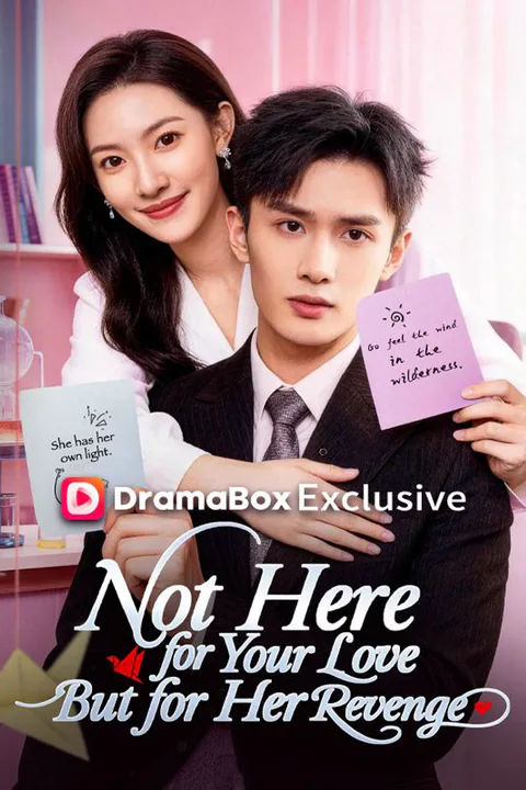 Not Here for Your Love, But for Her Revenge poster