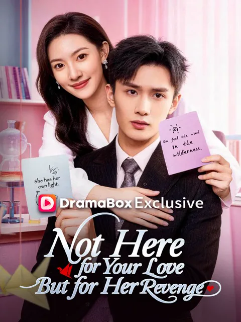 Not Here for Your Love, But for Her Revenge poster