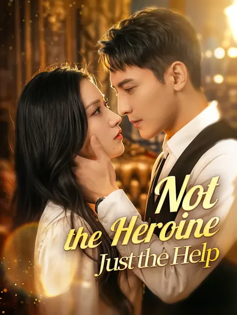 Not the Heroine, Just the Help poster