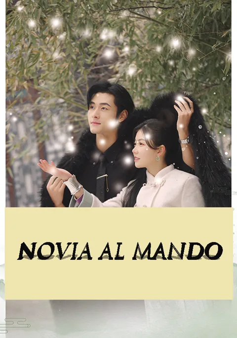 Póster de Novia al mando