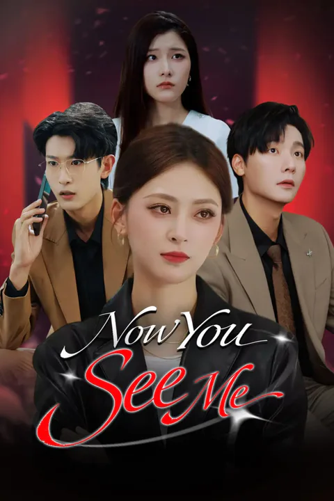 Now You See Me poster
