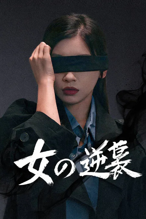 女の逆襲のポスター