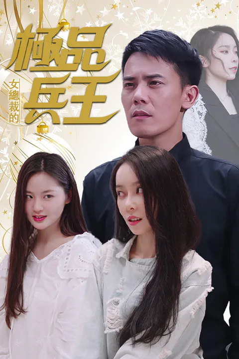 《女总裁的极品兵王》海报