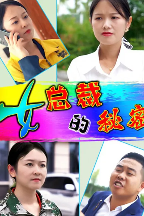 《女总裁的秘密》海报