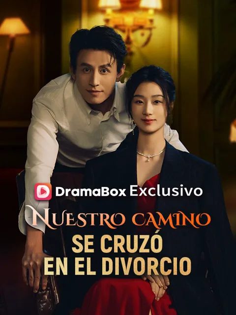 Póster de Nuestro camino se cruzó en el divorcio (Doblado)