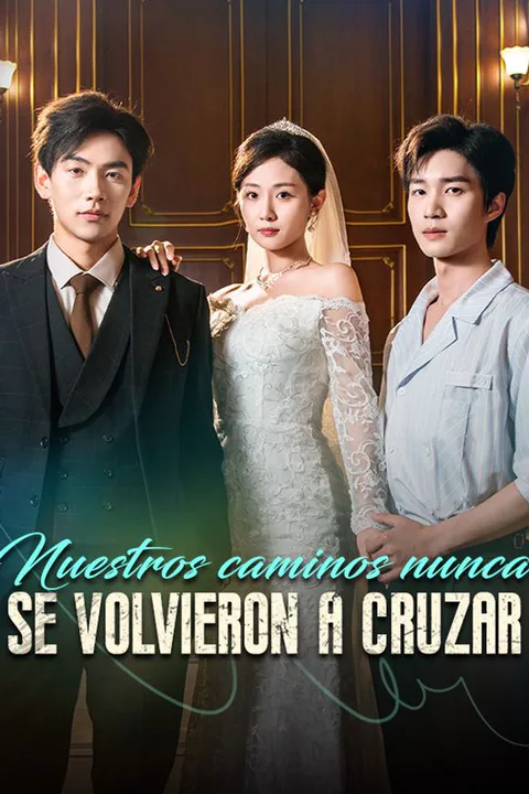 Póster de Nuestros caminos nunca se volvieron a cruzar